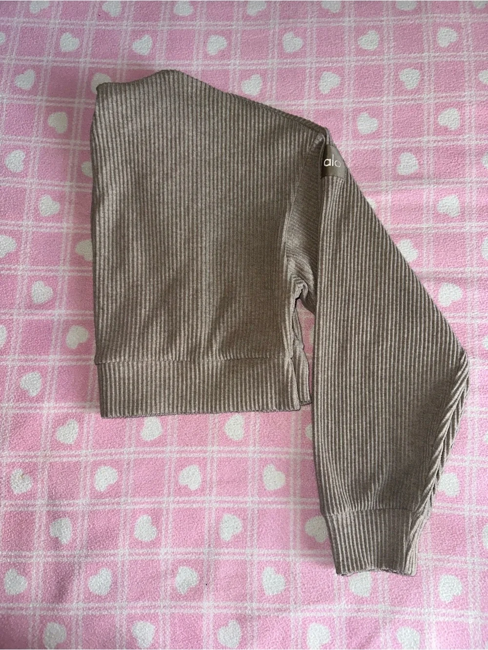ALO Yoga Ribbed Hooded Crop in Taupe Brown